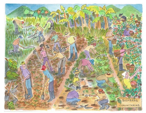 AVANCES MATERIAL GRAFICO